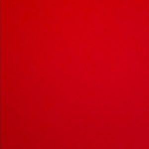 Meet your Posher, Monae